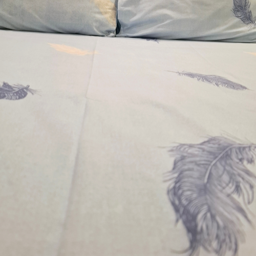 Brenda Lewis Sky Blue Bedsheet